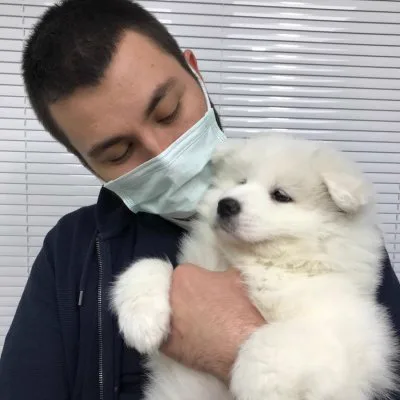 Veteriner Hekim Seçkin Arslan