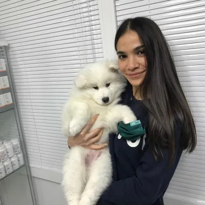 Veteriner Hekim Özlem Arslan